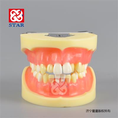標(biāo)準模型M8016